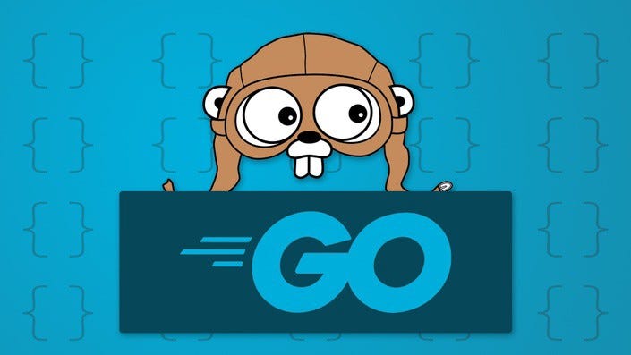 Learning Golang: A Developer's Journey