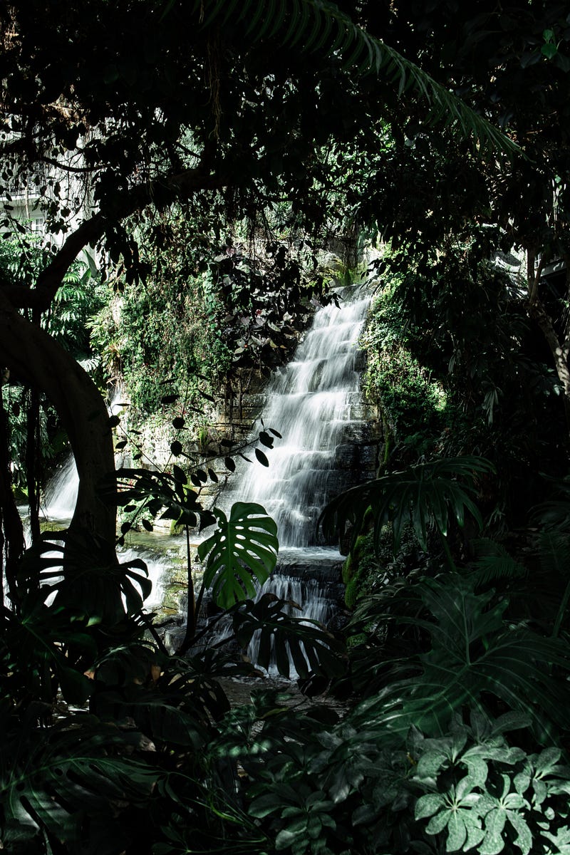 Stunning view of a serene waterfall in a rainforest