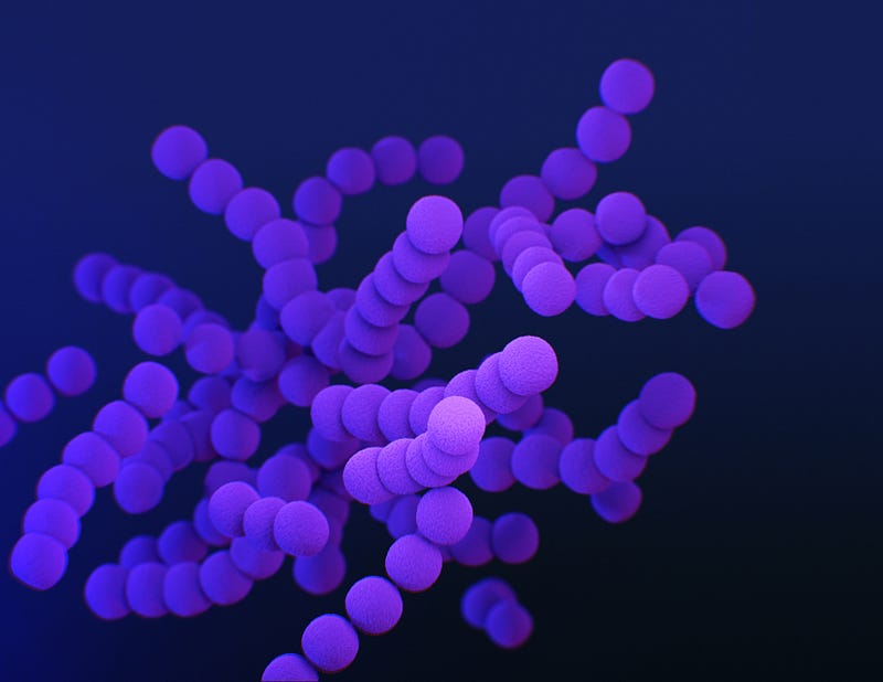 Illustration of DNA structure with emphasis on Z base