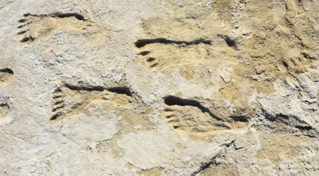 Fossilized footprints discovery site in New Mexico