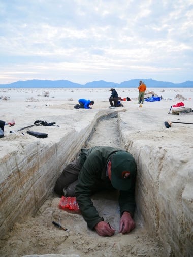 Excavation site of ancient human footprints