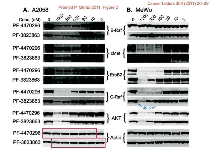 An example of manipulated research data