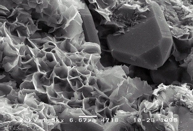 Scanning electron microscope image of smectite