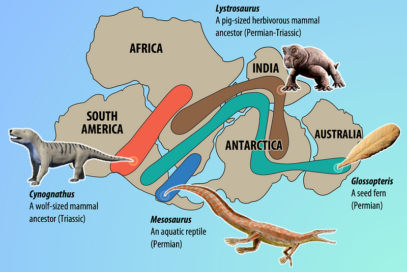 Map illustrating Wegener's concept of Pangaea