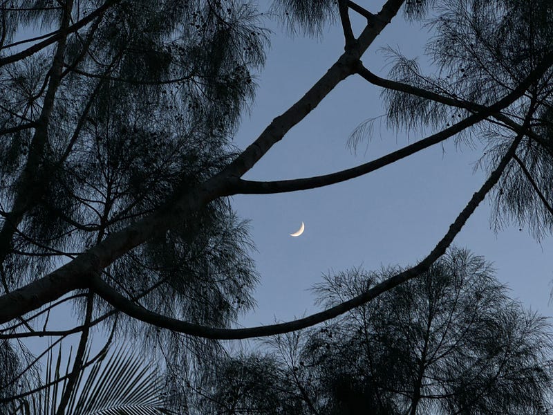 Captivating moonlit night