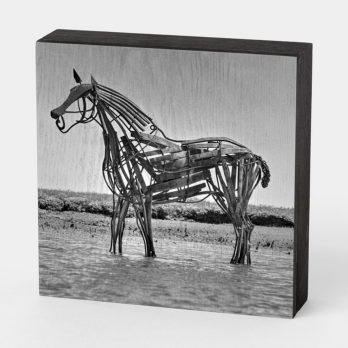 Artistic wood-mounted photography prints