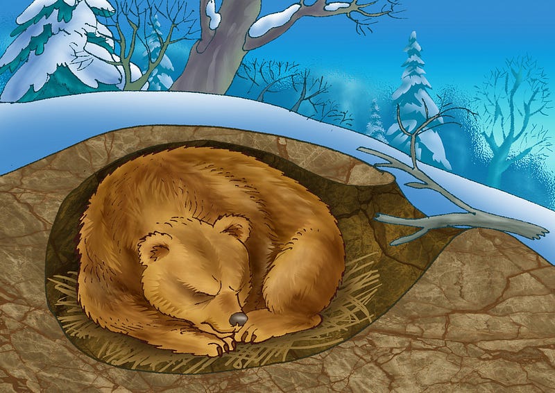 Hibernating mammal in winter