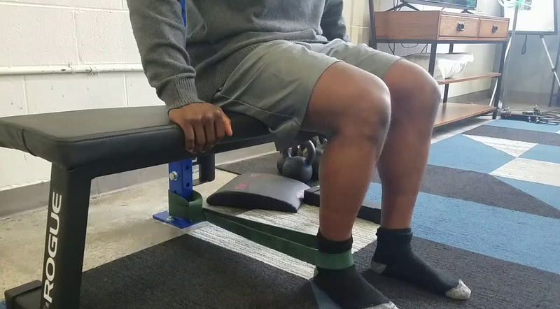 Seated Knee Extension Exercise