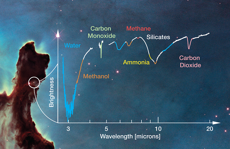 Simulated spectrum from the Webb telescope