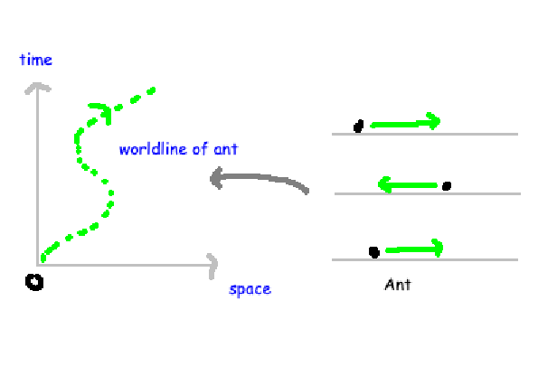 Spacetime diagram of an ant's movement