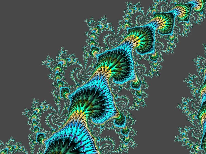 Fractal representation of natural forms