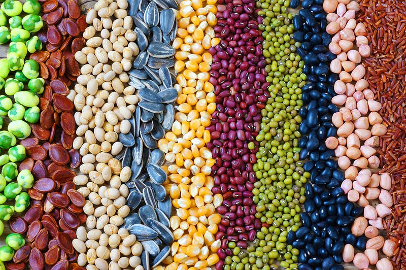 Seeds essential for global food security