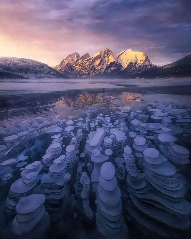 Frozen methane bubbles in Spray Lake, Canada