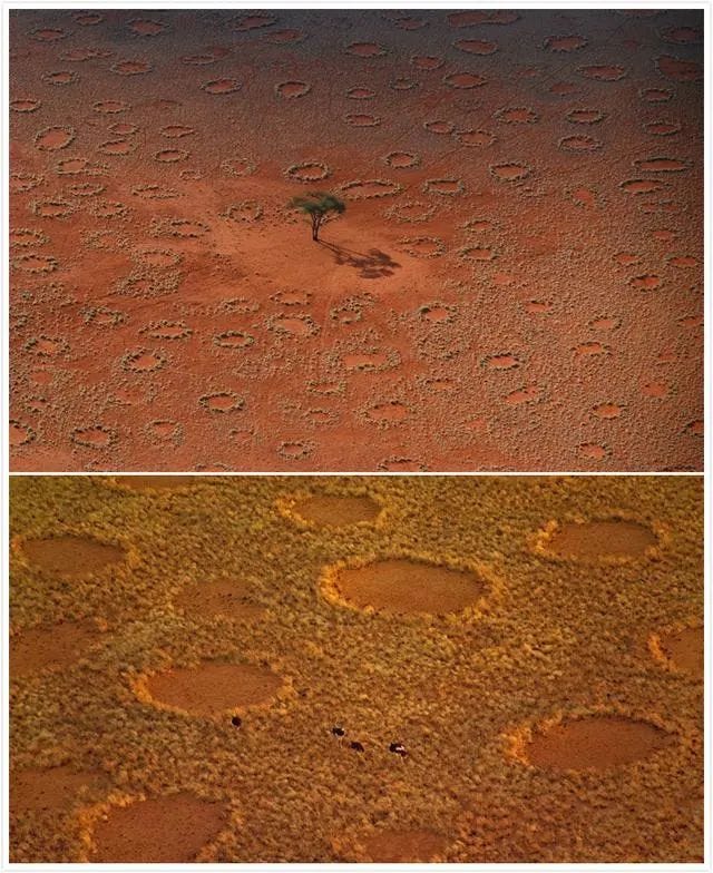 Elf Circles in the desert, created by termites