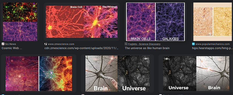 Neural patterns mirroring cosmic designs