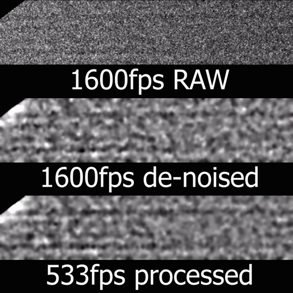 High-Speed Molecular Video Capture