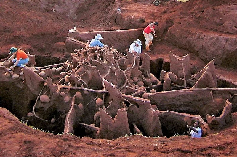 Giant ant colony