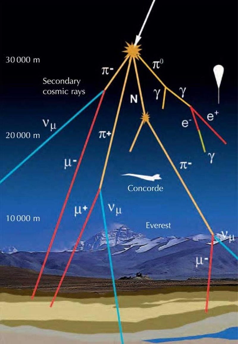 Muons detected on Earth