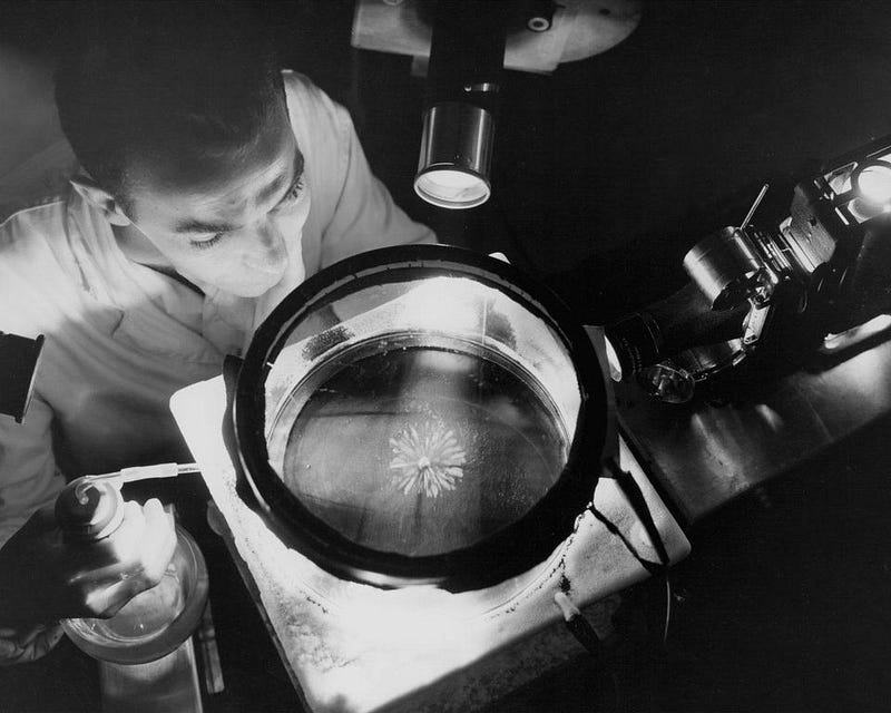 Observing alpha particles in a cloud chamber