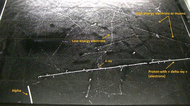 Cosmic ray muons in a cloud chamber