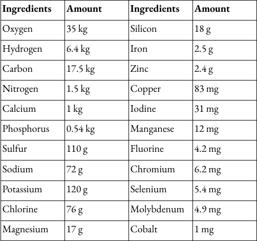 The scientific ingredients for human creation