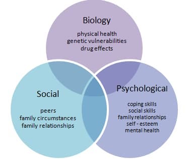 Biopsychosocial model representation